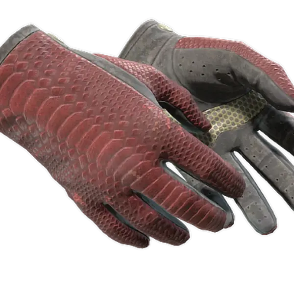 ★ Driver Gloves | Dragon Fists (Well-Worn)