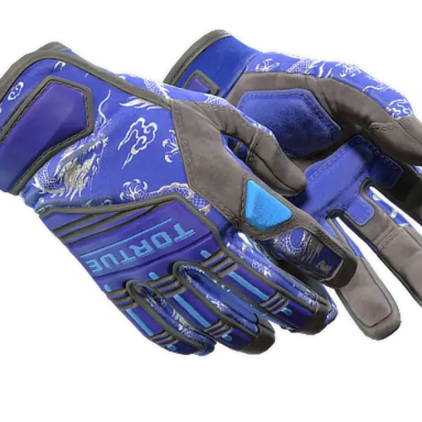 ★ Specialist Gloves | Cloud Chaser (Well-Worn)