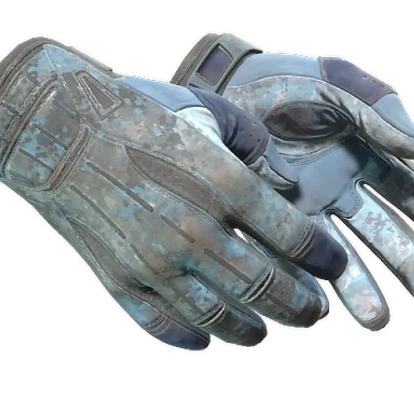 ★ Sport Gloves | Frosty (Battle-Scarred)