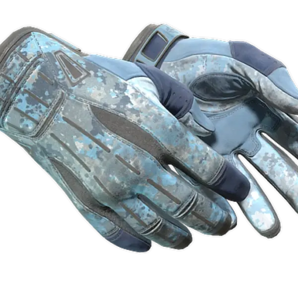 ★ Sport Gloves | Frosty (Field-Tested)