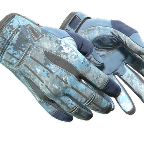 ★ Sport Gloves | Frosty (Minimal Wear)