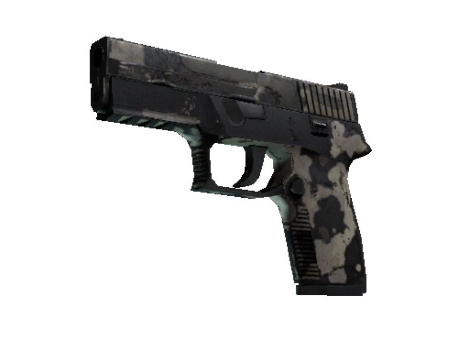P250 | Black & Tan (Battle-Scarred) - Image 1
