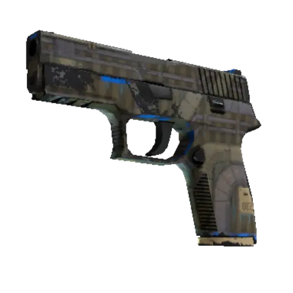 Souvenir P250 | Exchanger (Well-Worn)
