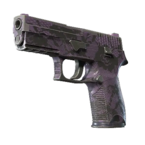 Souvenir P250 | Plum Netting (Field-Tested)