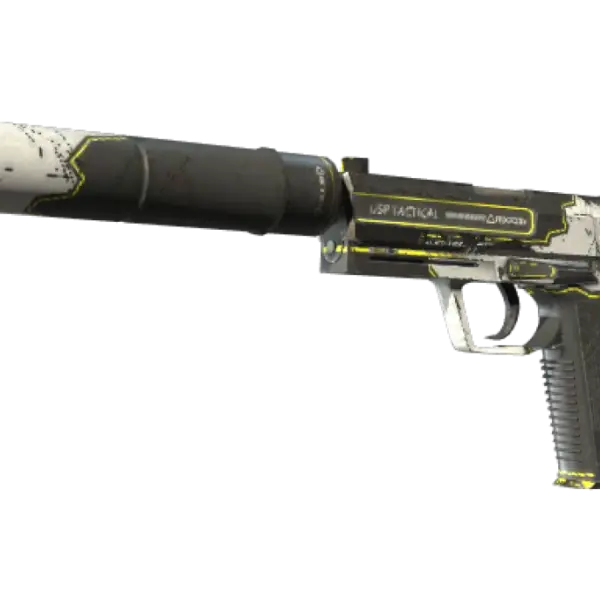 Souvenir USP-S | Torque (Field-Tested)