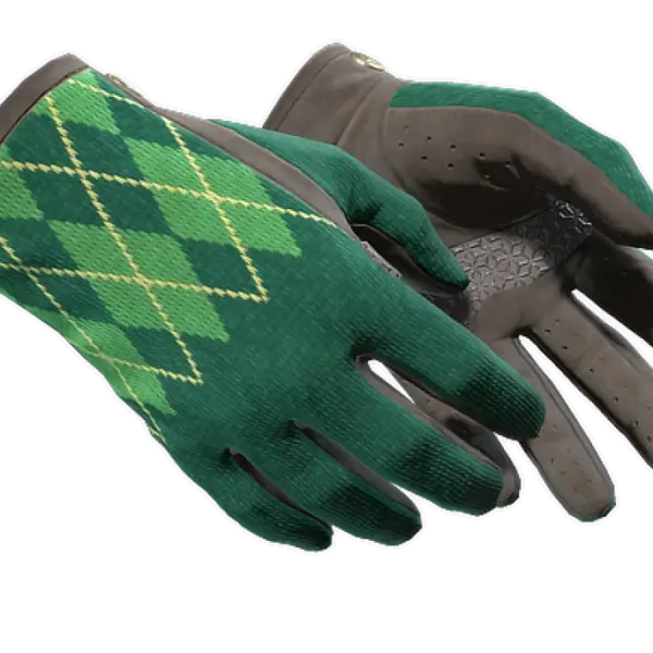 ★ Driver Gloves | Hand Sweaters (Factory New)