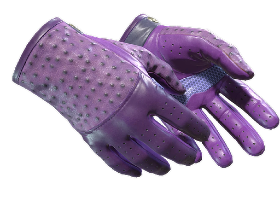 ★ Driver Gloves | Plum Quill (Factory New) - Image 1