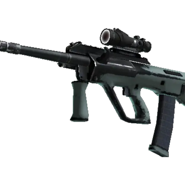 Souvenir AUG | Storm (Well-Worn)