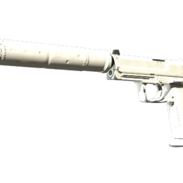 Souvenir USP-S | Whiteout (Field-Tested)